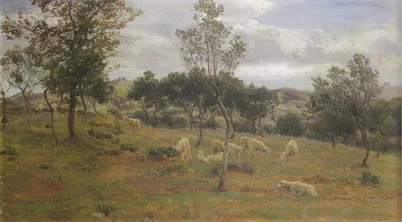 Italiaans landschap met olijfbomen